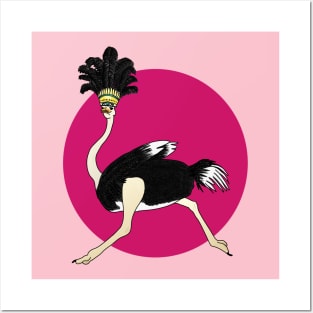 Cabaret ostrich Posters and Art